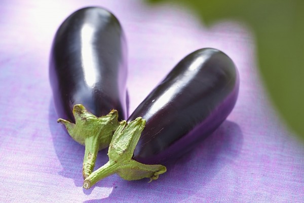 5-loai-qua-rat-tot-cho-ba-bau