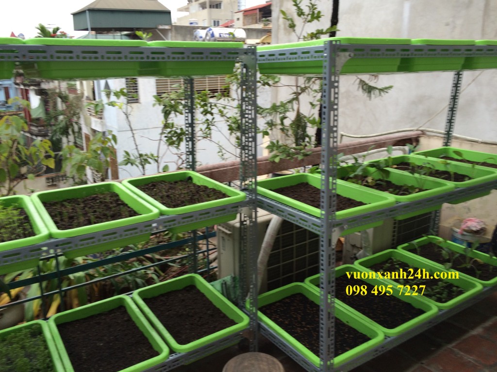 vuonxanh24h.com  098 495 7227 