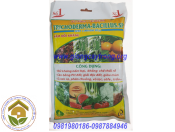 Chế phẩm Trichoderma