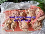 Củ giống hoa thủy tiên