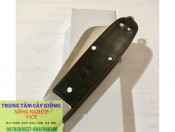 Dao chiết ghép cành
