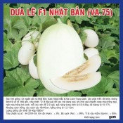 Hạt giống dưa lê