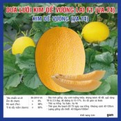 Dưa Kim Đế Vương