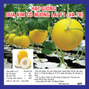 Hạt giống dưa Kim Cô Nương