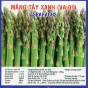 Hạt giống măng tây